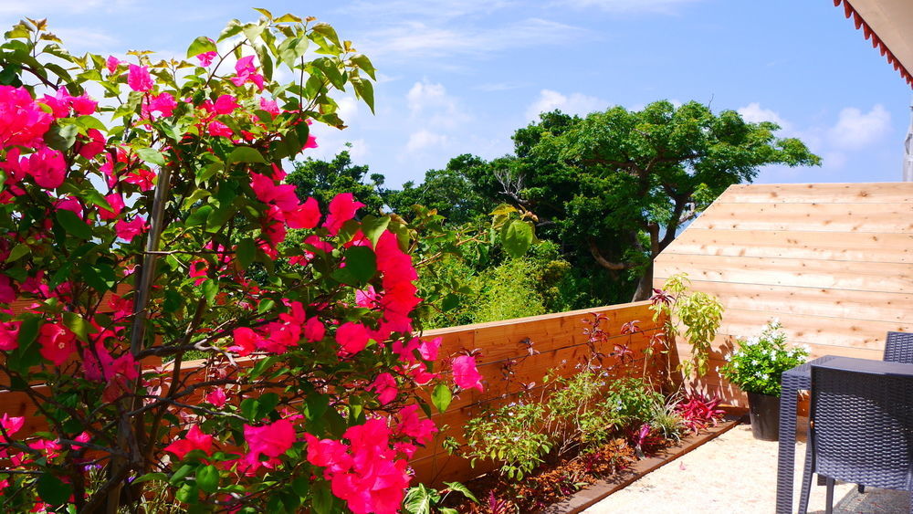 Ocean Hills Kouri Hotel Nakijin Bagian luar foto
